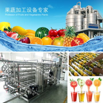 Turn key solution for vegetable juice processing line