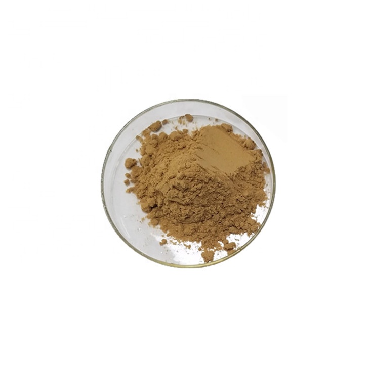 Alchemilla Vulgaris Extract