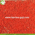 Factory Supply Fruit gedroogd cosmetische dieet Goji bessen