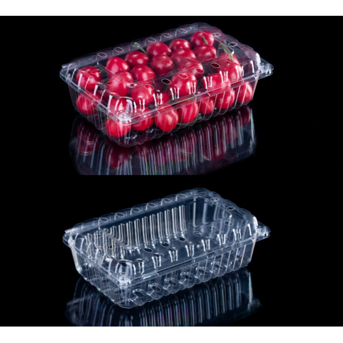 Kotak kemasan plastik Rpet buah dengan lubang ventilasi