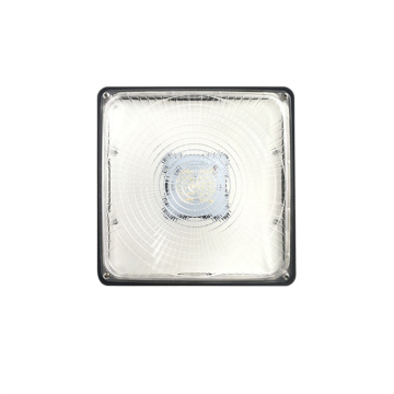 Security-Focused Commercial LED Canopy Light