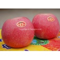 Fuji Apple Lezzetli elma