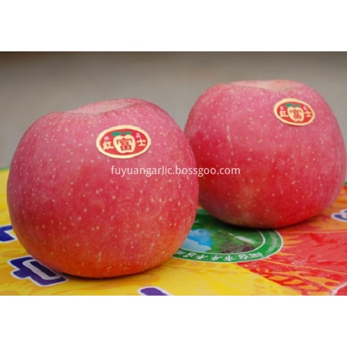 Fuji Apple Lezzetli elma