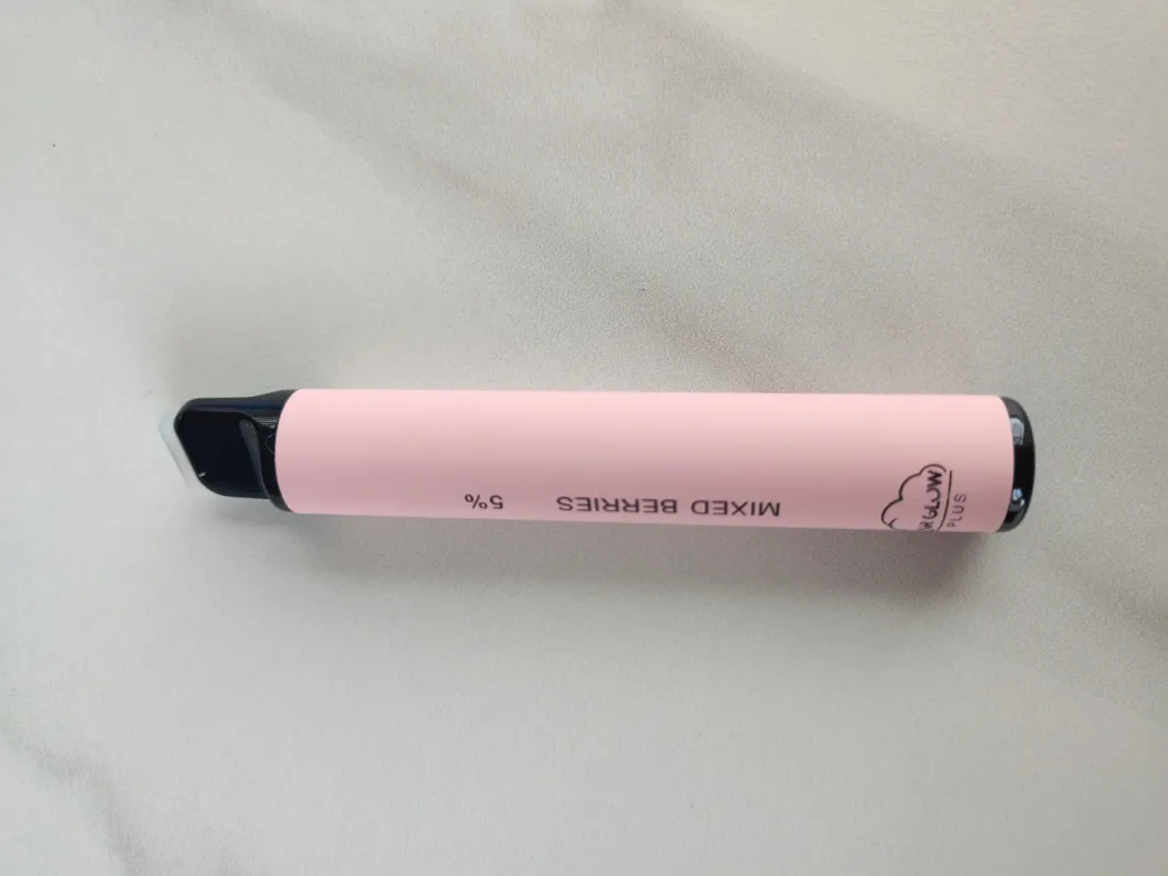 2021 Dry Herb Wholesale Vaporizer Pen with 550mAh Battery 800 Puffs Plus