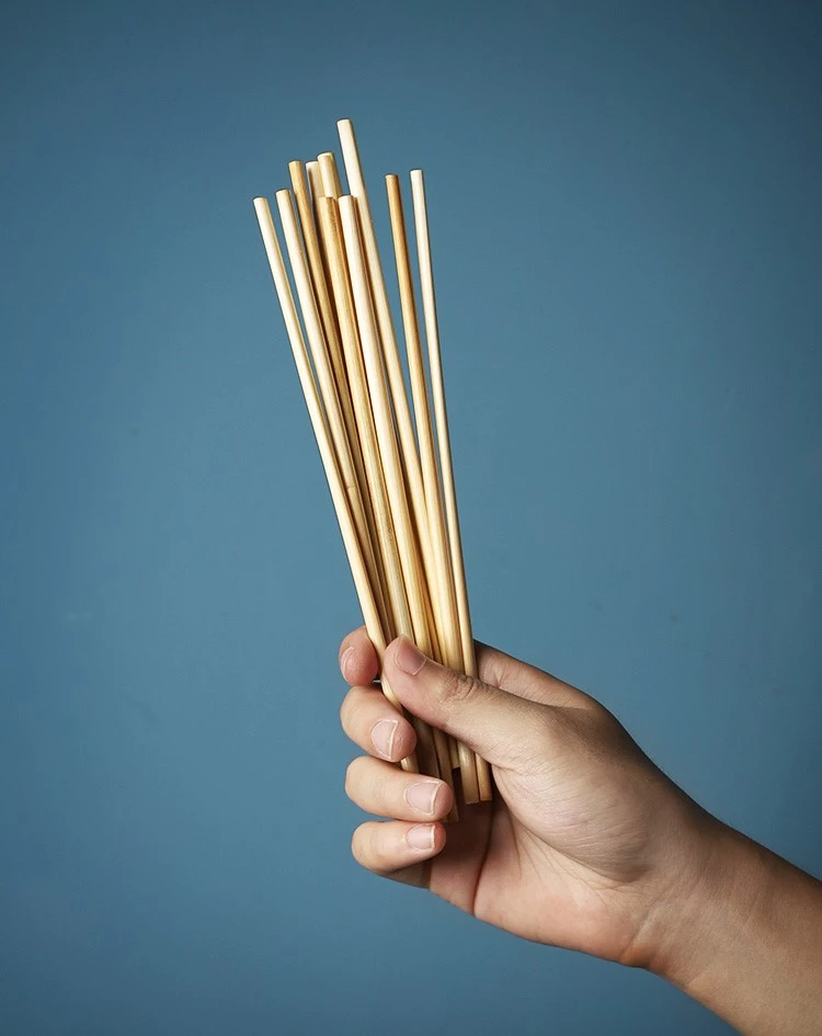 Natural Eco Biodegradable Wheat Straws for Drinking