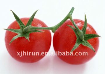 Tomato Paste 36-38% brix cold break
