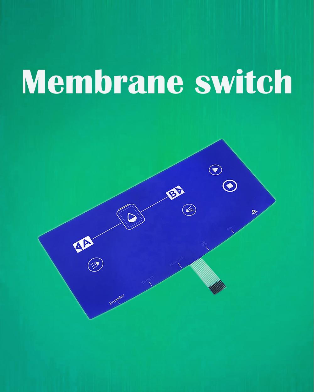 Membrane Switch