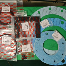 New MSG AAP1406701-00110 ORING Vibration Probe