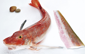 Cheap Seafood Red Gurnard Fillet