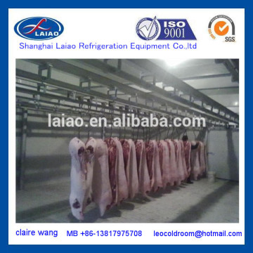 Meat Blast Freezer/Cold Room