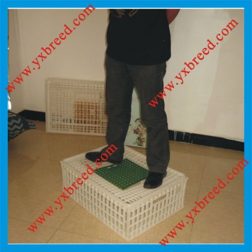 poultry plastic tote box