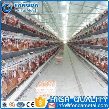 A Type 96 Layers Chicken Cage For Nigeria,Tanzania,Kenya, Zambia,Uganda