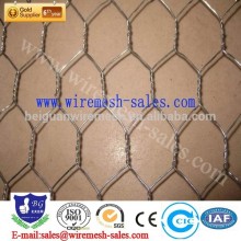 Hot Dip Galvanized And Electro Galvanized Hexagonal Wire Mesh Made in China Manufacture