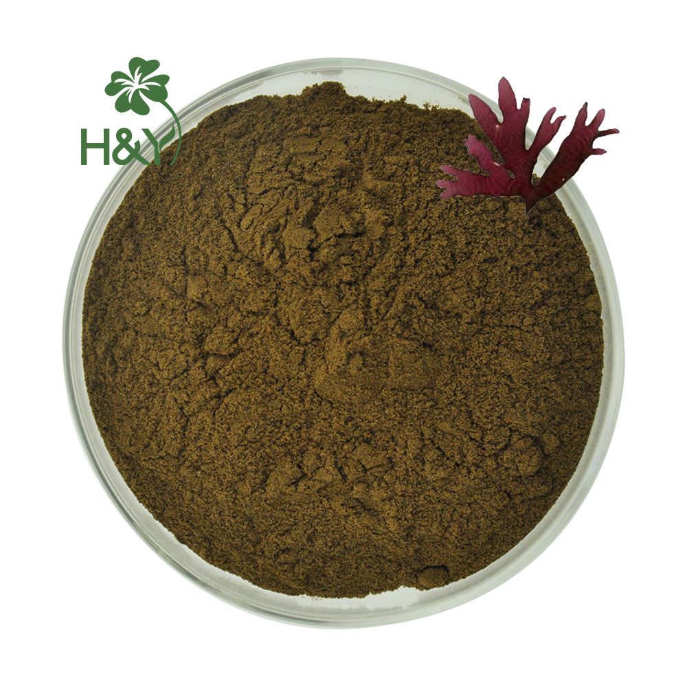 Порошок экстракта морских водорослей seaweed extract powder