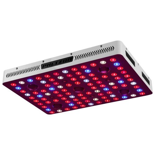 2500w COB LED Grow Lights para invernadero