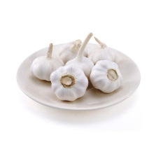 chinese garlic price new garlic  big size garlic