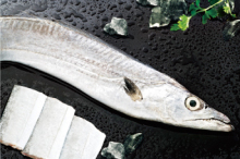 Frozen fish frozen seafood hairtail fish