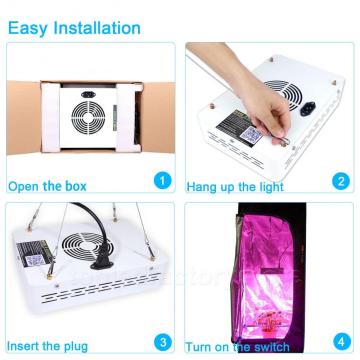 Square / Rectangle LED tumbuh cahaya untuk pembenihan