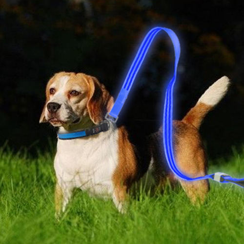 LED Dog Leashes USB Rechargeable Flashing Light Waterproof Luminous Safety Lighter LED Dog Leash