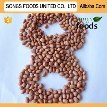 High Quality Peanuts Kernels