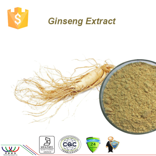 100% natural ginsenosides included Korean red ginseng extract