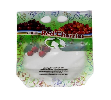 Fashion design packaging bags bags for packaging fruit bags with handle