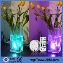 LED Color Changing Lighting Vase Remote Control 10TriColor LED's