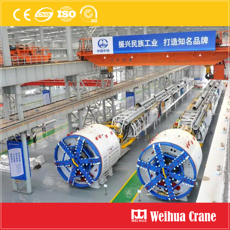 Tunnel Boring Machine Crane