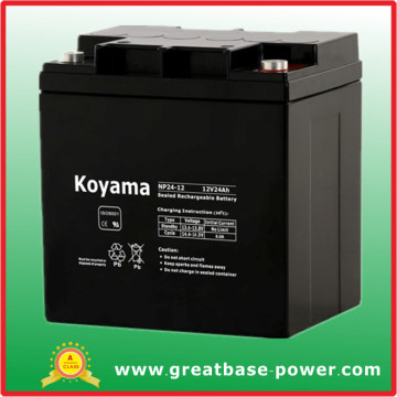 Sealed Battery Storage Battery Lead Acid Battery 24ah 12V