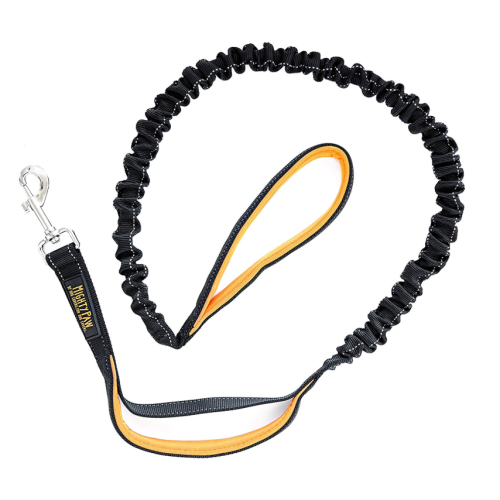 Comfortabele Bungee Dog Leash