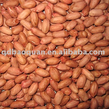 raw peanuts kernels