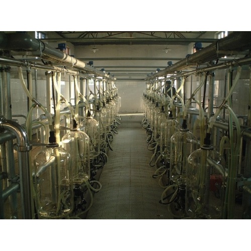 Milking parlor for cows and goats