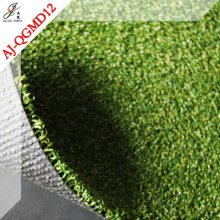 Grass carpet for cricket court