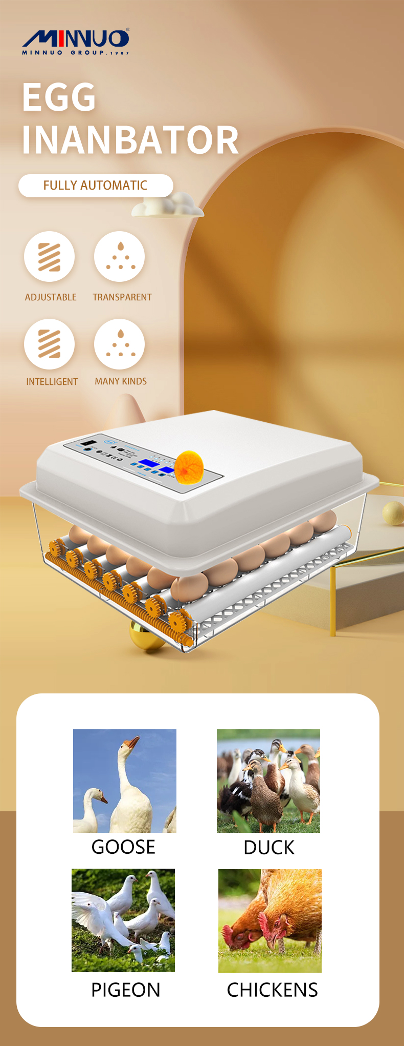 egg incubators for sale