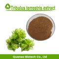 Мужское здравоохранение Tribulus Terrestris Extract Powder Saponins