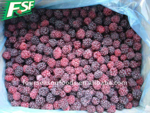 IQF frozen berries black fruit 2015 new price