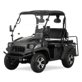 Jeep 200cc EFI UTV Hot Model