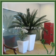Artificial preserved palm tree with lighted pot