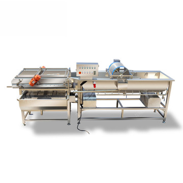 Vegetable Bubble Washing Machine Continuous Type