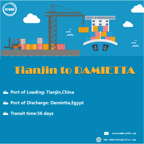 Service de fret maritime de Tianjin à Damitta Egypte