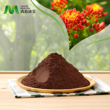 High Quality Rhodiola Rosea Extract