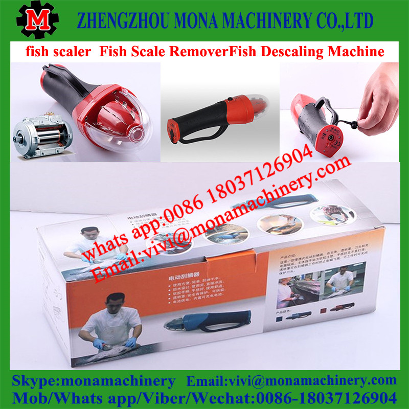 fish scale peeling machine/fish scale peeler
