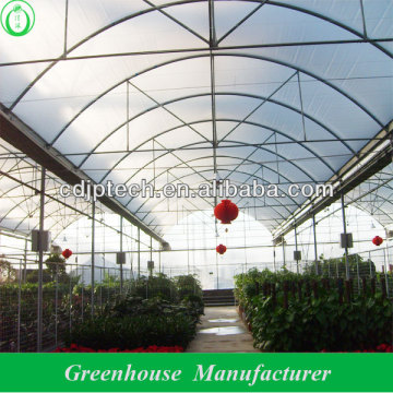 greenhouse tropical