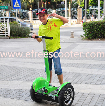 FreeFeet City Road Personal Transporter Outdoor Sports 2 Wheels Self Balancing Electric Standing Up Scooter 17" 1600W