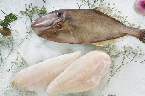 mražený filet z kožené bundy