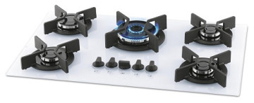 5-Burner Fischer Stove Triple Flame