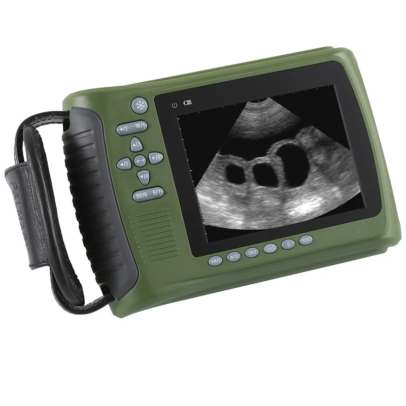 Wholesale Portable Veterinary Ultrasound for Dog Pig Sheep Cow Horse