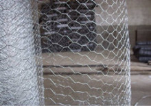 plastic Chicken screen netting