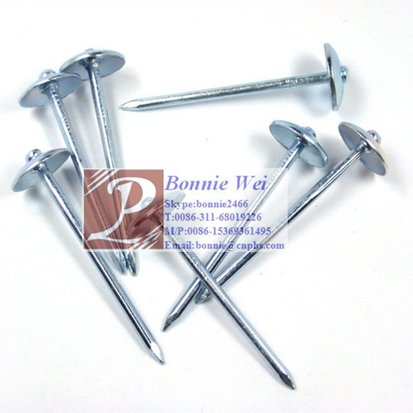 Hot dipped galvanized Spiral rolled roofing nail