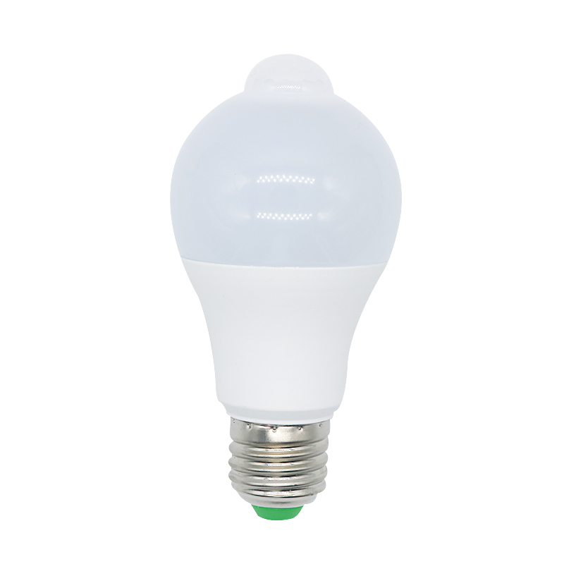 Induction Bulb